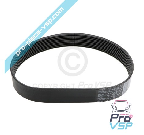 Trainer belt