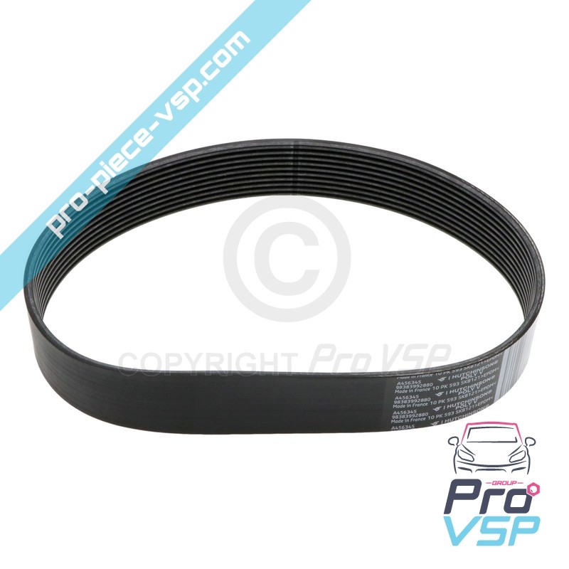 Trainer belt