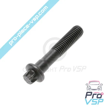 Engine rod screw Lombardini DCI