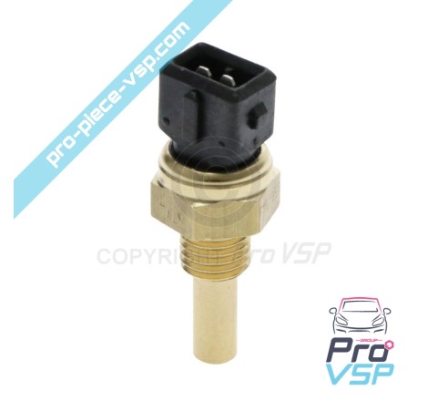 Motorwassertemperatursensor Lombardini DCI