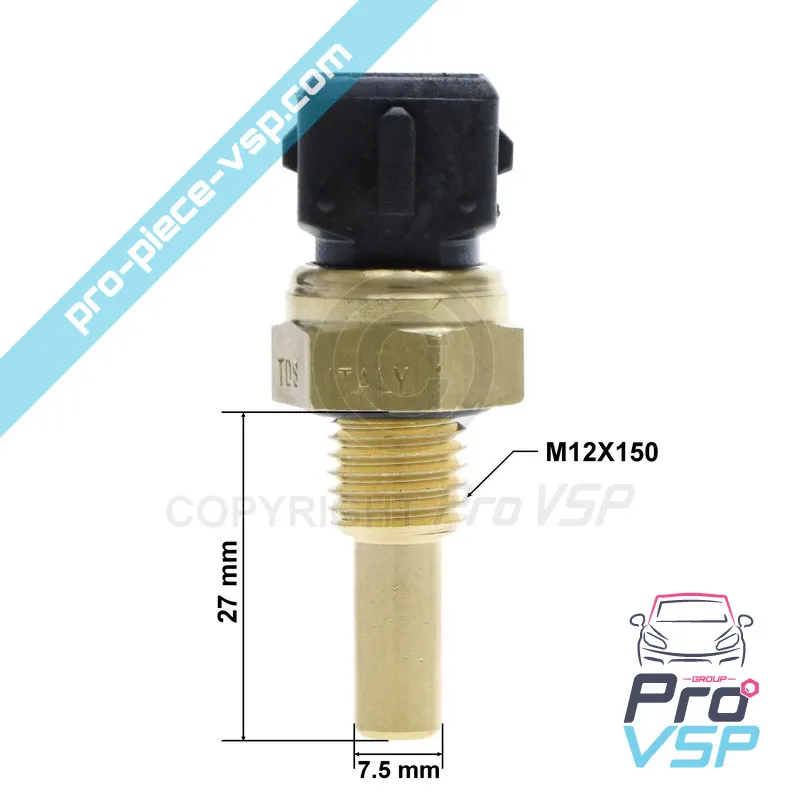 Sensor de temperatura del agua del motor Lombardini DCI