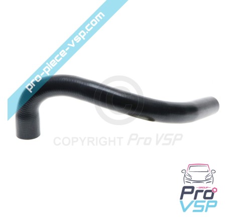 Radiator superior hose