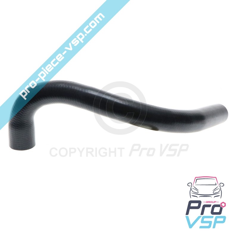 Radiator superior hose