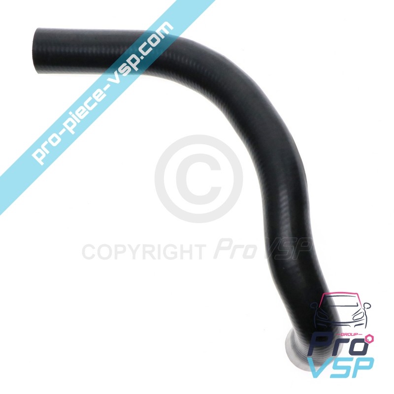 Radiator superior hose