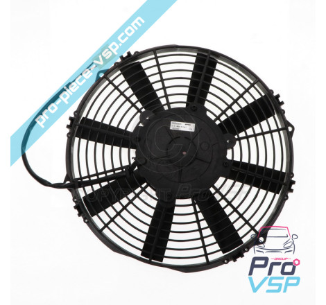 Fan