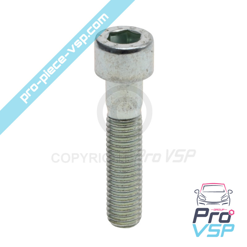 Engine support screw