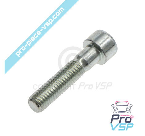 Engine support screw