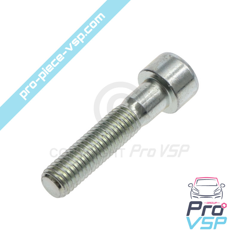 Engine support screw