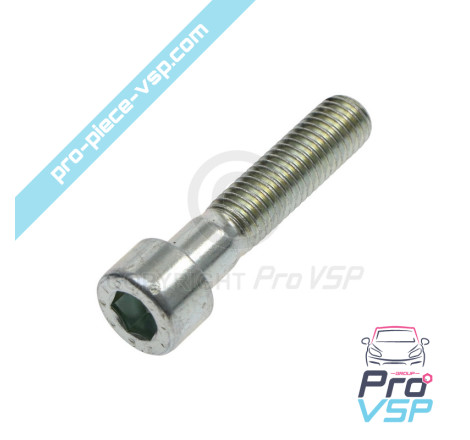 Engine support screw