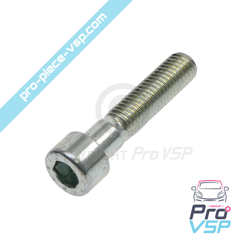 Engine support screw