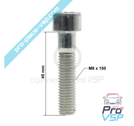 Engine support screw