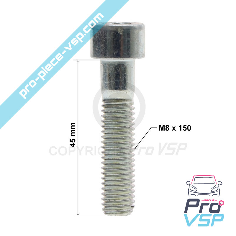 Engine support screw