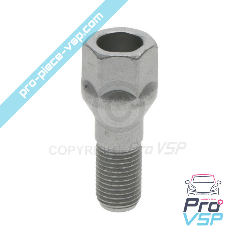 Wheel bolt