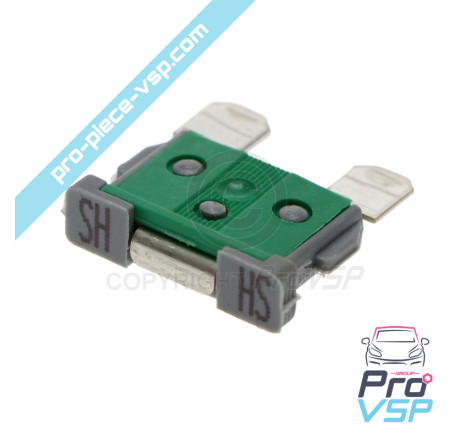 Shunt Larg Fuse 18