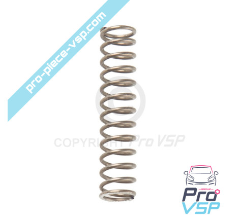 Potentiometer spring