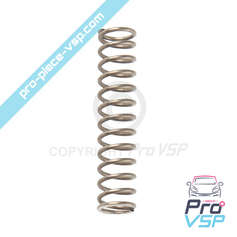 Potentiometer spring