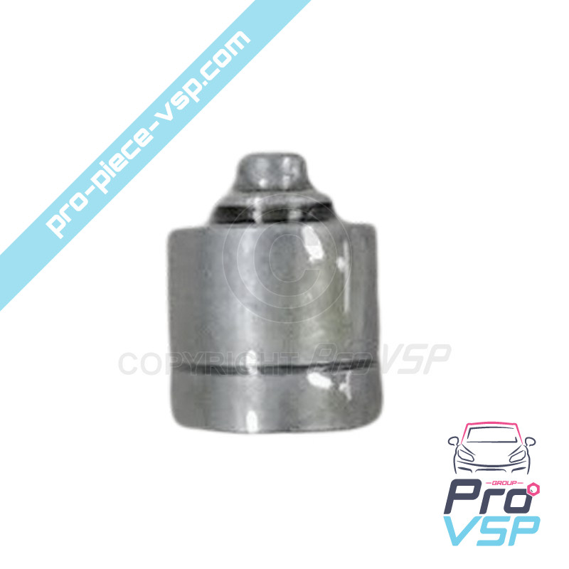 Distribution valve
