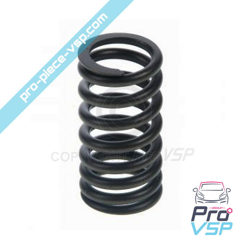 Valve spring