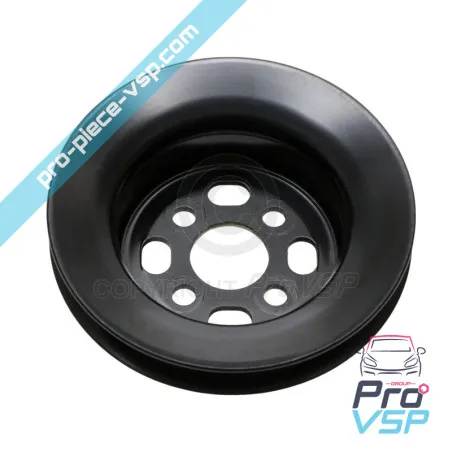 Poulie de vilebrequin pour moteur Lombardini DCI