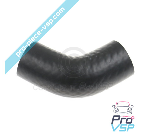 Lower water pump hose