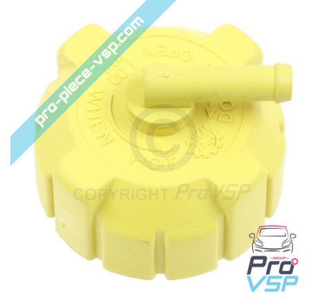 Expansion tank cap