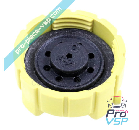 Expansion tank cap