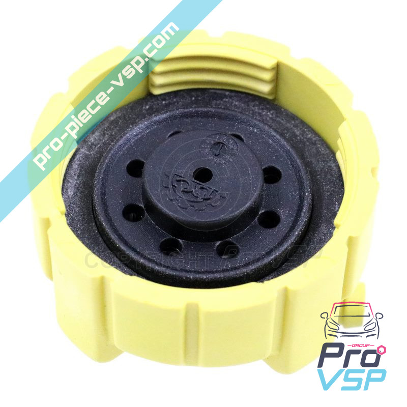 Expansion tank cap