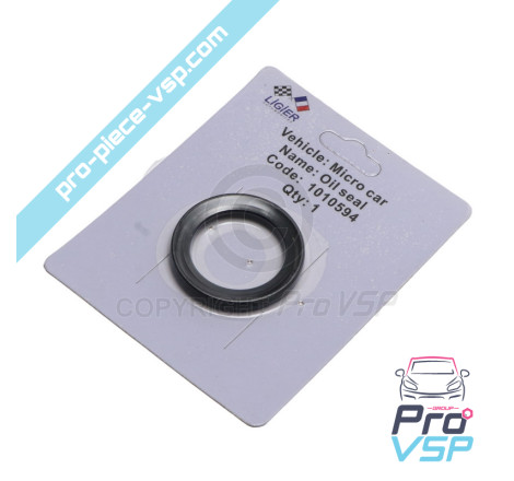 Rear wheel hub gasket