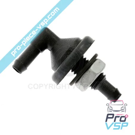 %product-name% / %summary% / %shop-name%