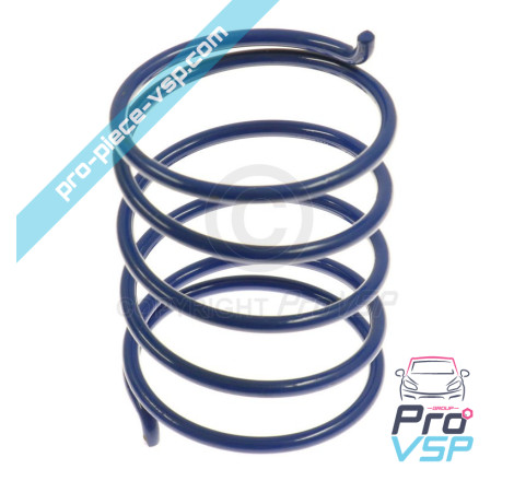 Primavera de caja azul