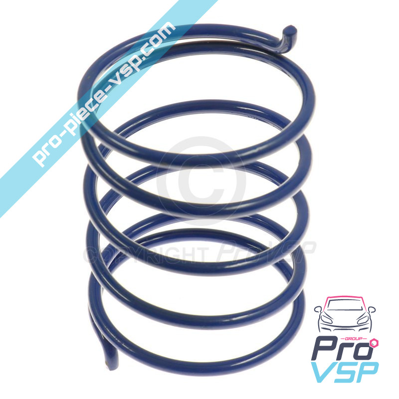 Primavera de caja azul