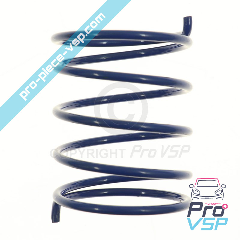Primavera de caja azul