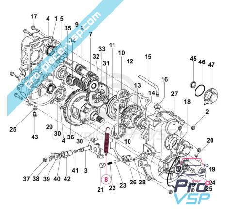 Box selector spring