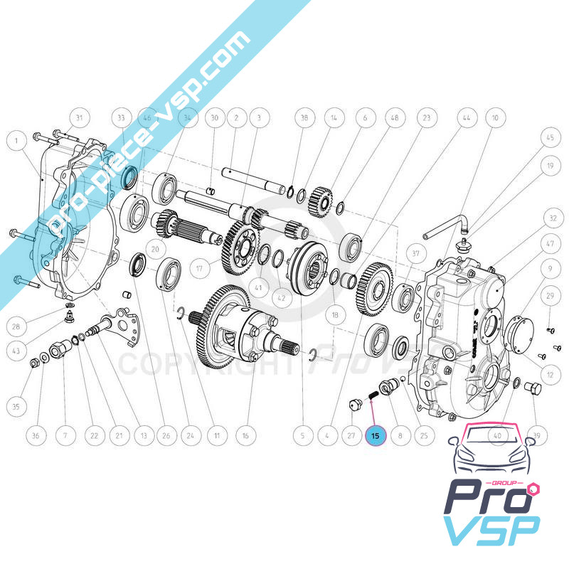 Speed box selector ball spring