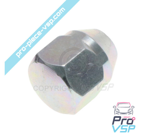 Wheel nut