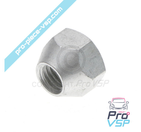 Wheel nut