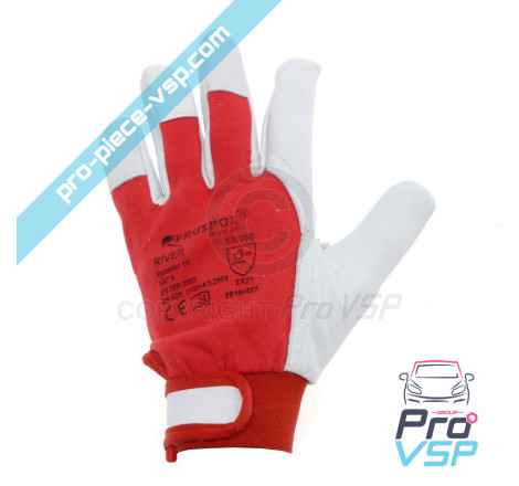 Glove