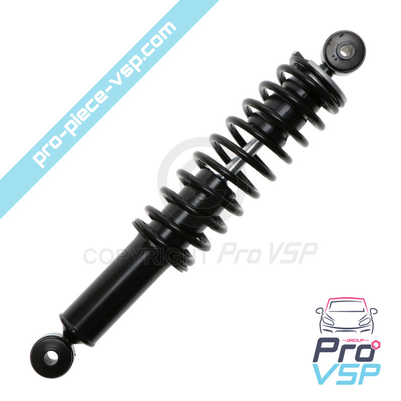 Rear shock absorber origin