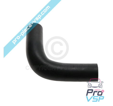 Upper hose
