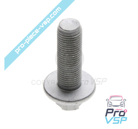Rear hub screw