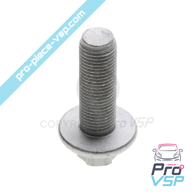Rear hub screw