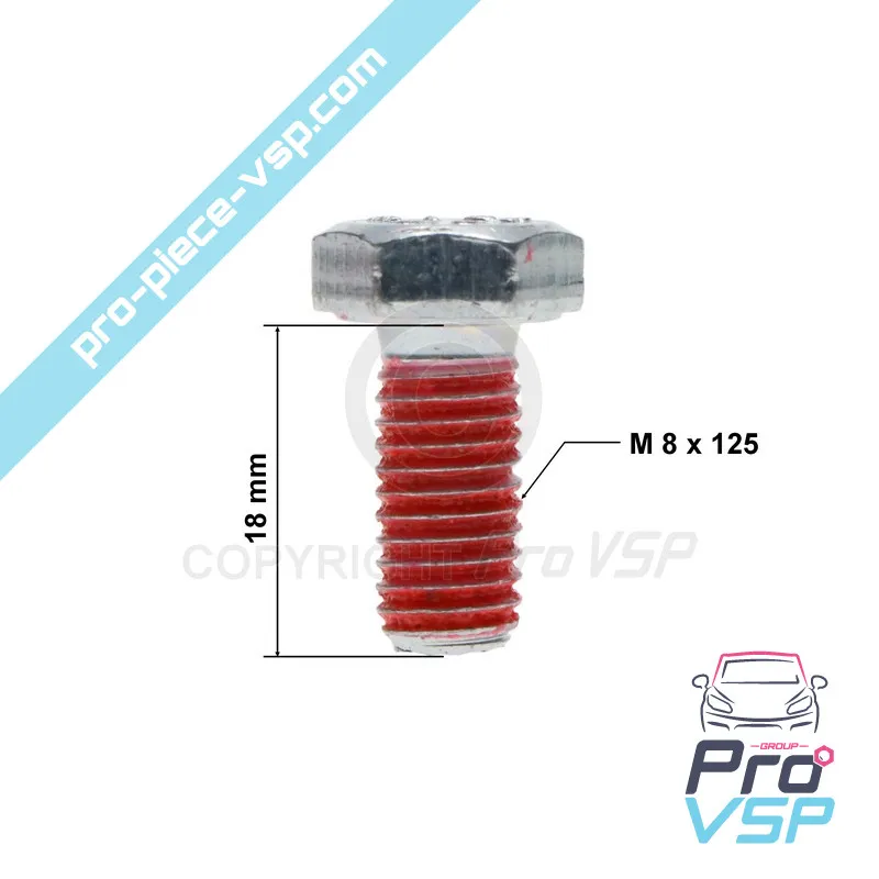 Starter support screw
