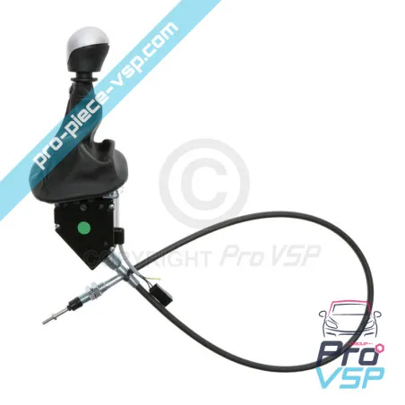 Speed lever for casalini