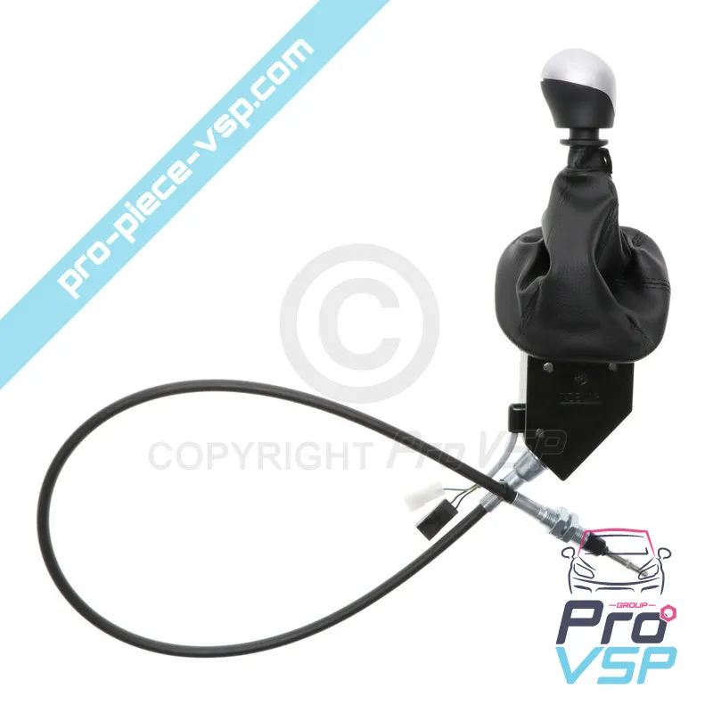 Speed lever for casalini