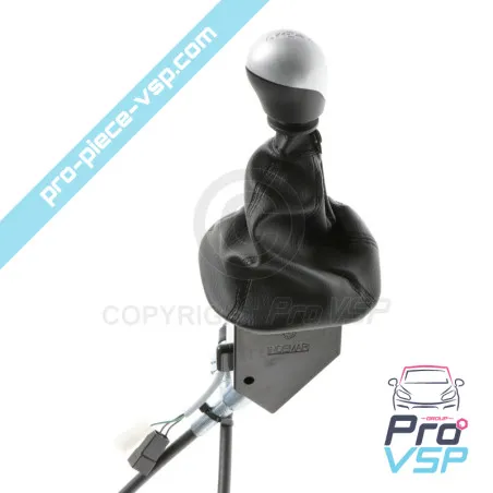 Speed lever for casalini