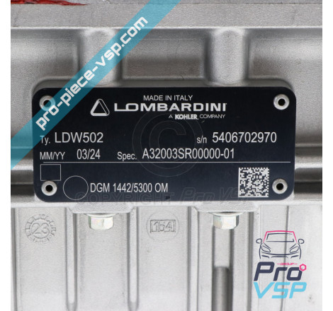 Engine Lombardini LDW502