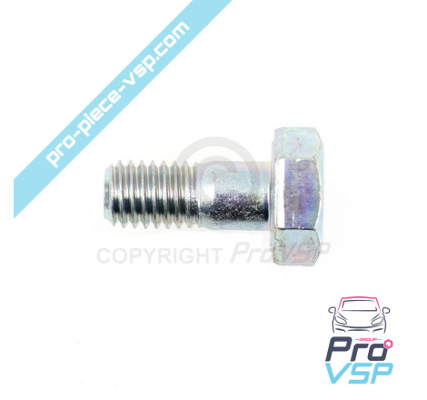 Banjo screw back from diesel
