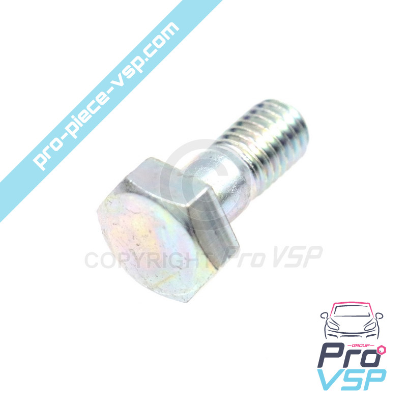 Banjo screw back from diesel