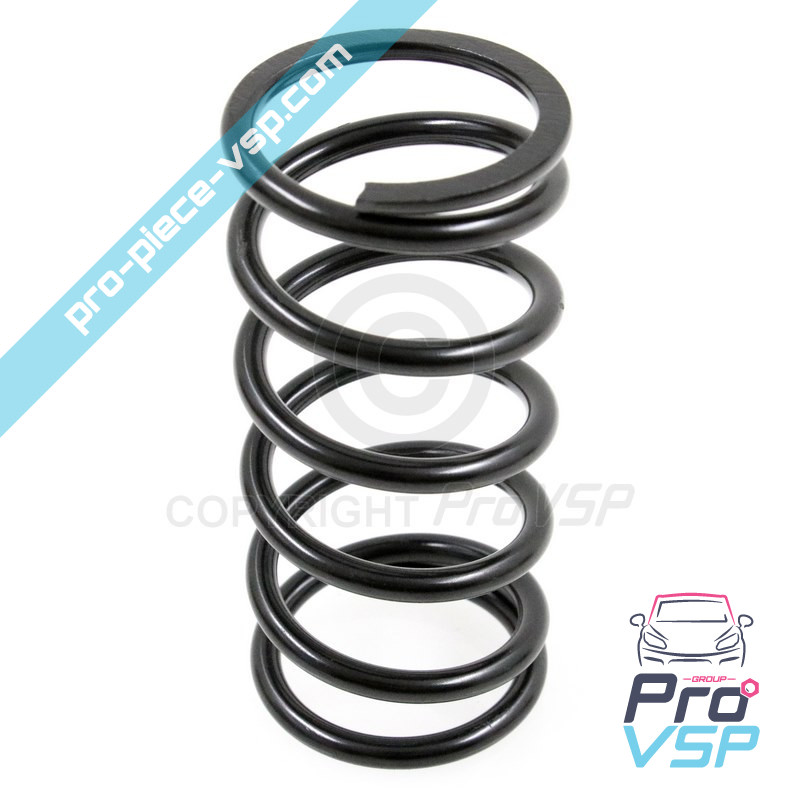 Motor drive spring
