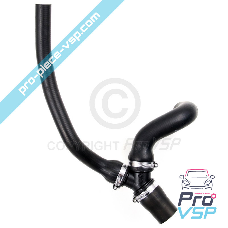 Upper hose